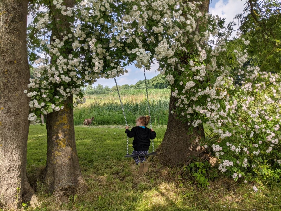 Kind schaukelt unter einem Rosenbogen
